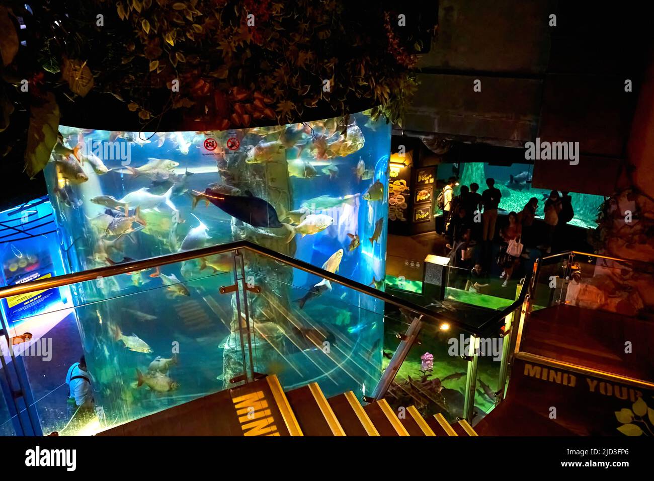 Interior of sea world oceanarium in KL. Glass aquarium with fish. Kuala Lumpur, Malaysia 03.12
