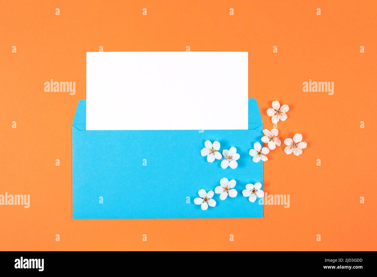 Blue envelope with white card and flowers on orange background. Top view. Copy space. Stock Photo