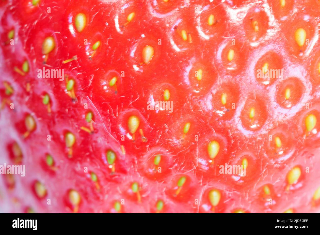 Strawberry seeds up close hi-res stock photography and images - Alamy