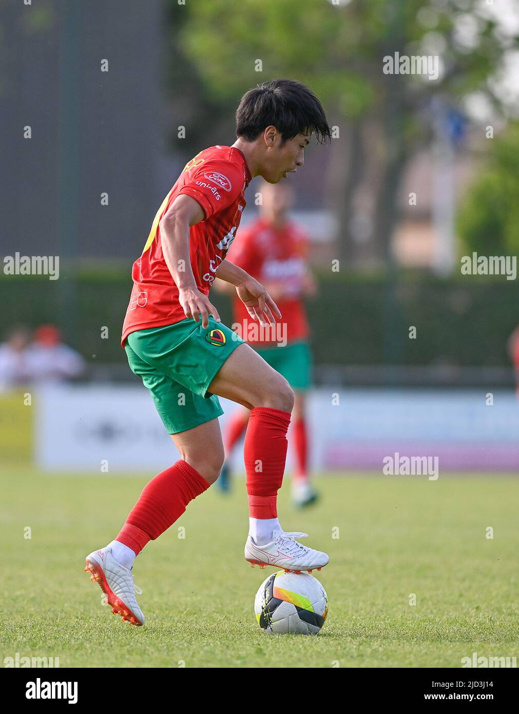 Belgium National Football Team players in action - year 2022