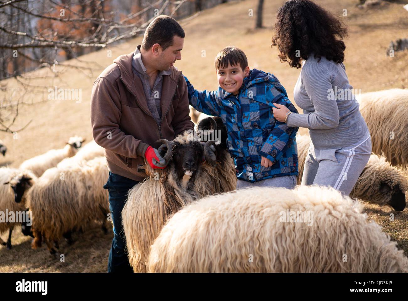 Boy and girl in a field with sheep hi-res stock photography and images ...