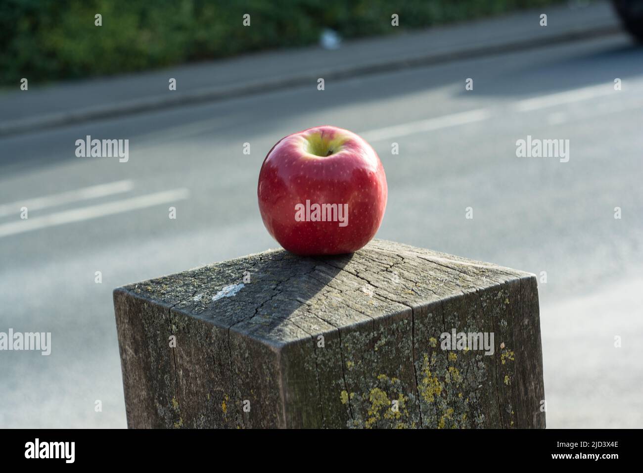 London, UK. 17th June, 2022. A apple at Hollow pond, London, UK. - 17 June 2022. Credit: See Li/Picture Capital/Alamy Live News Stock Photo