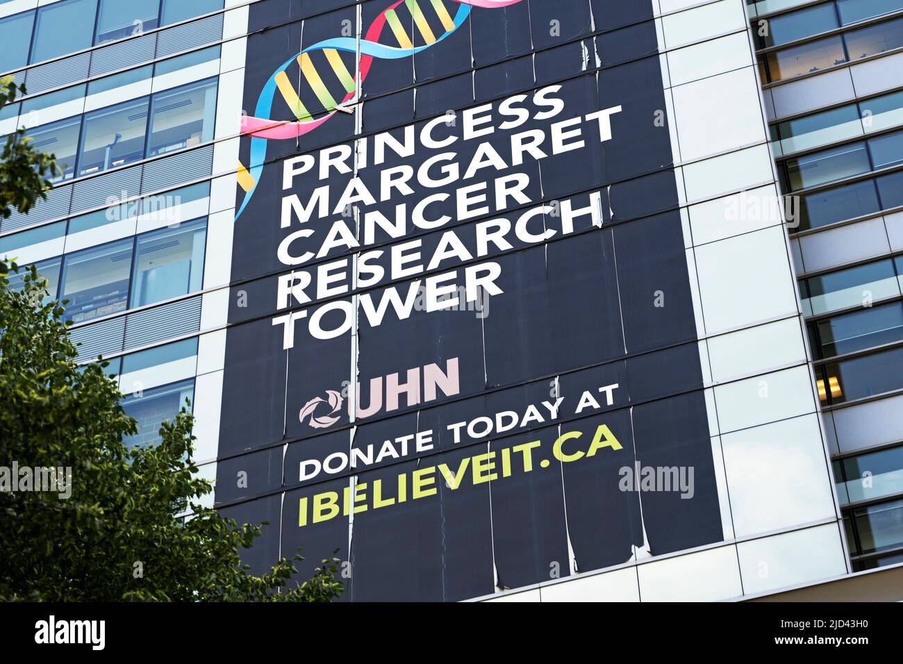 Princess Margaret Cancer Centre Cancer Research Stock Photo