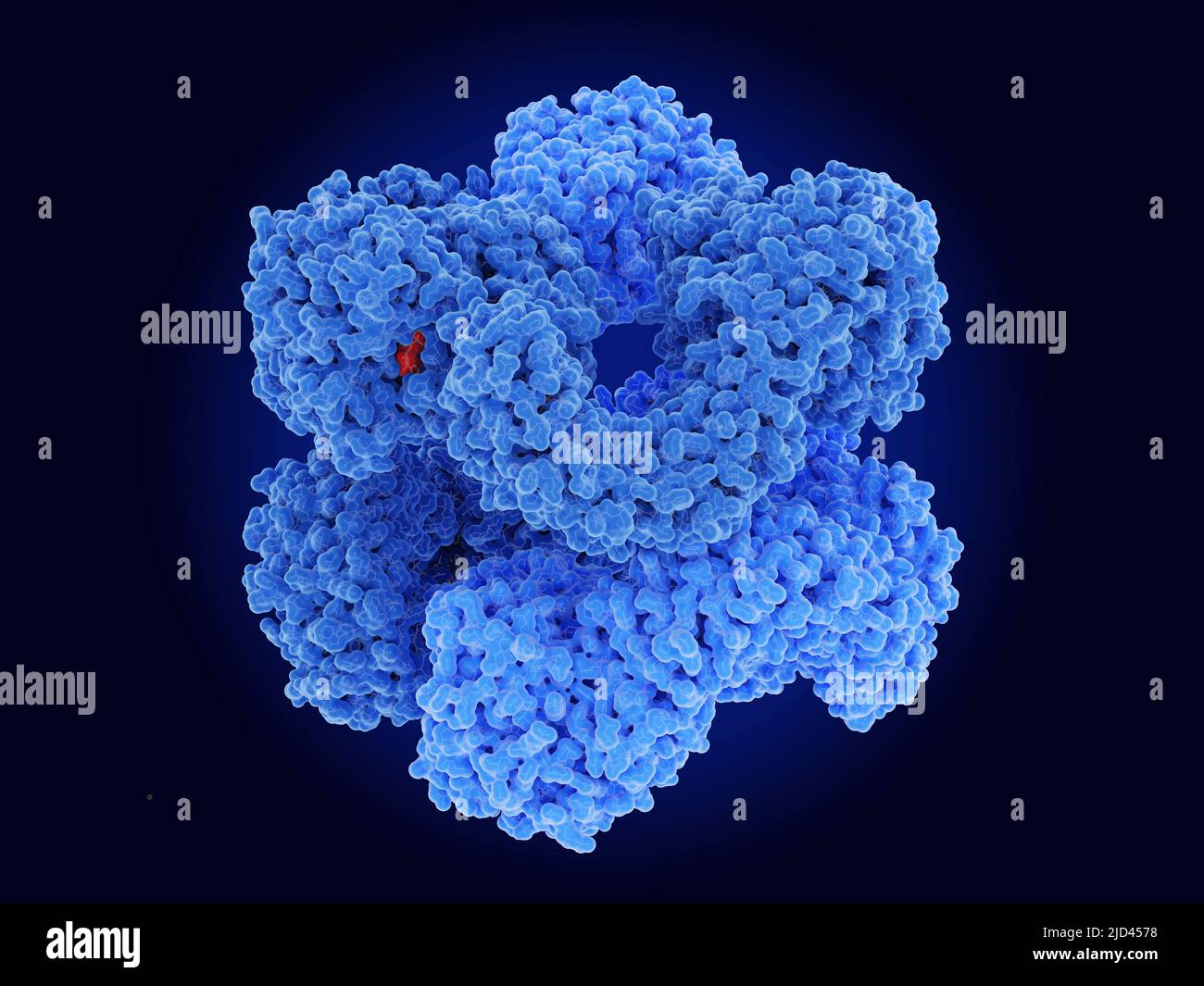 NLRP3 inflammasome, molecular model Stock Photo