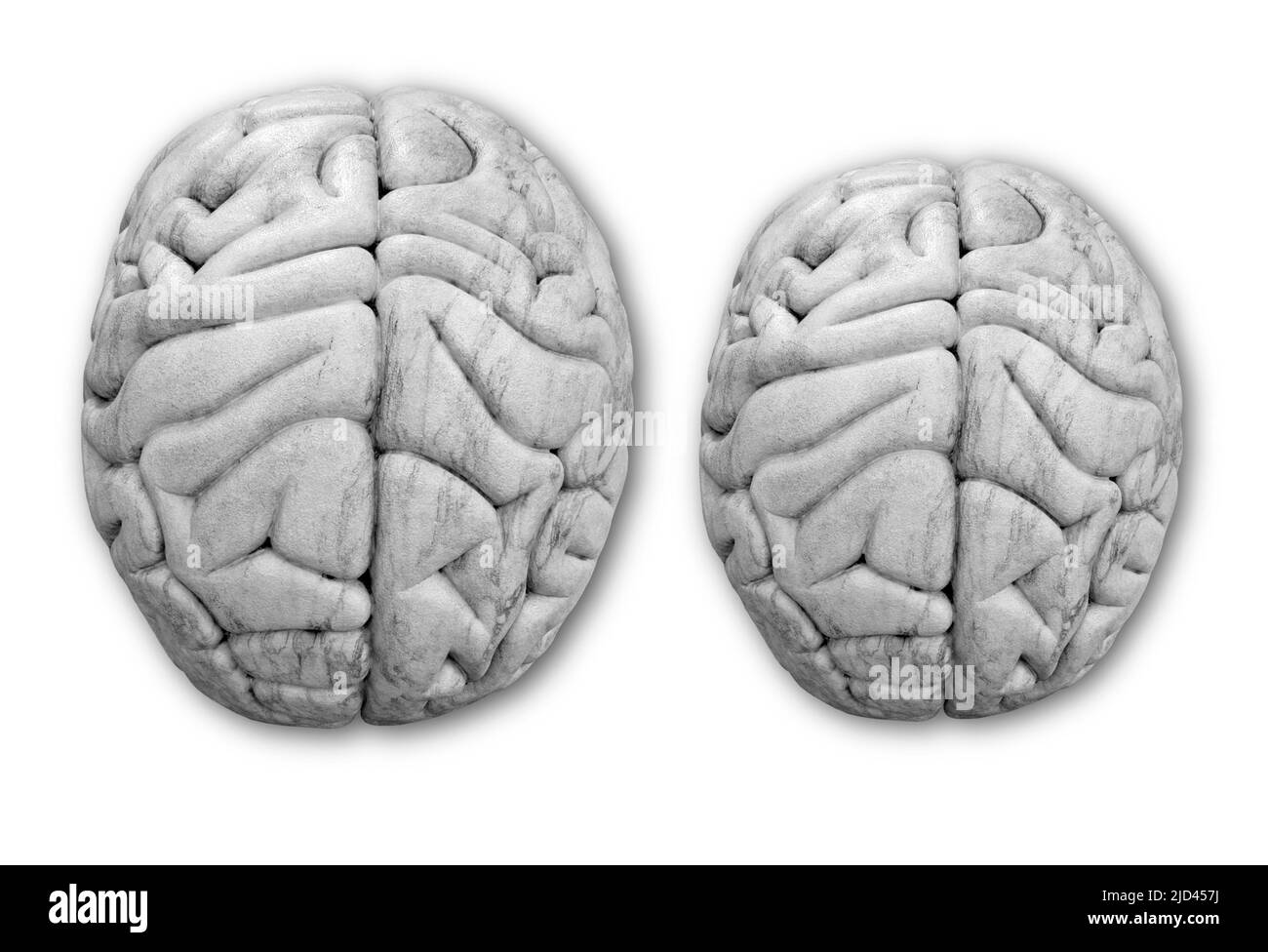 Reduced brain volume after Covid-19 infection, illlustration Stock Photo