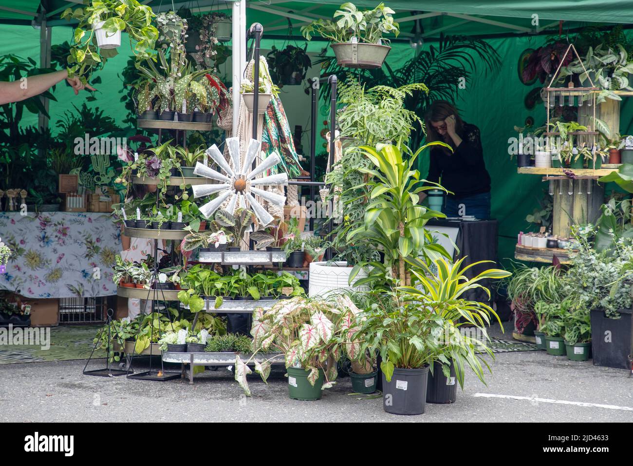 Everett, WA USA 06102022 Solticulture Garden Art Fair in Downtown