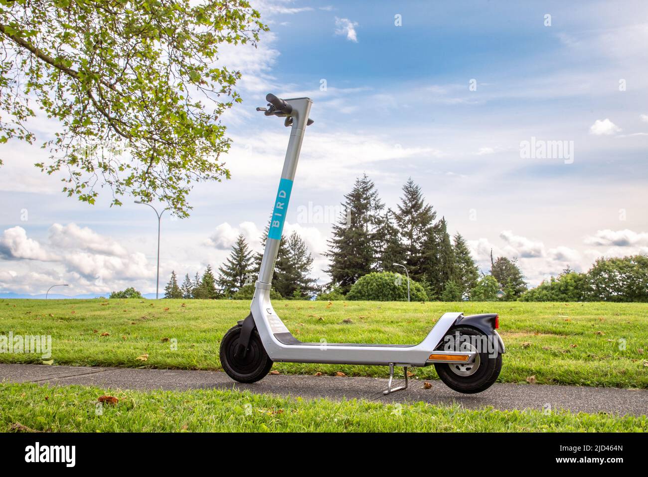Everett, WA USA 06042022 Electric Scooter Rental Company Bird