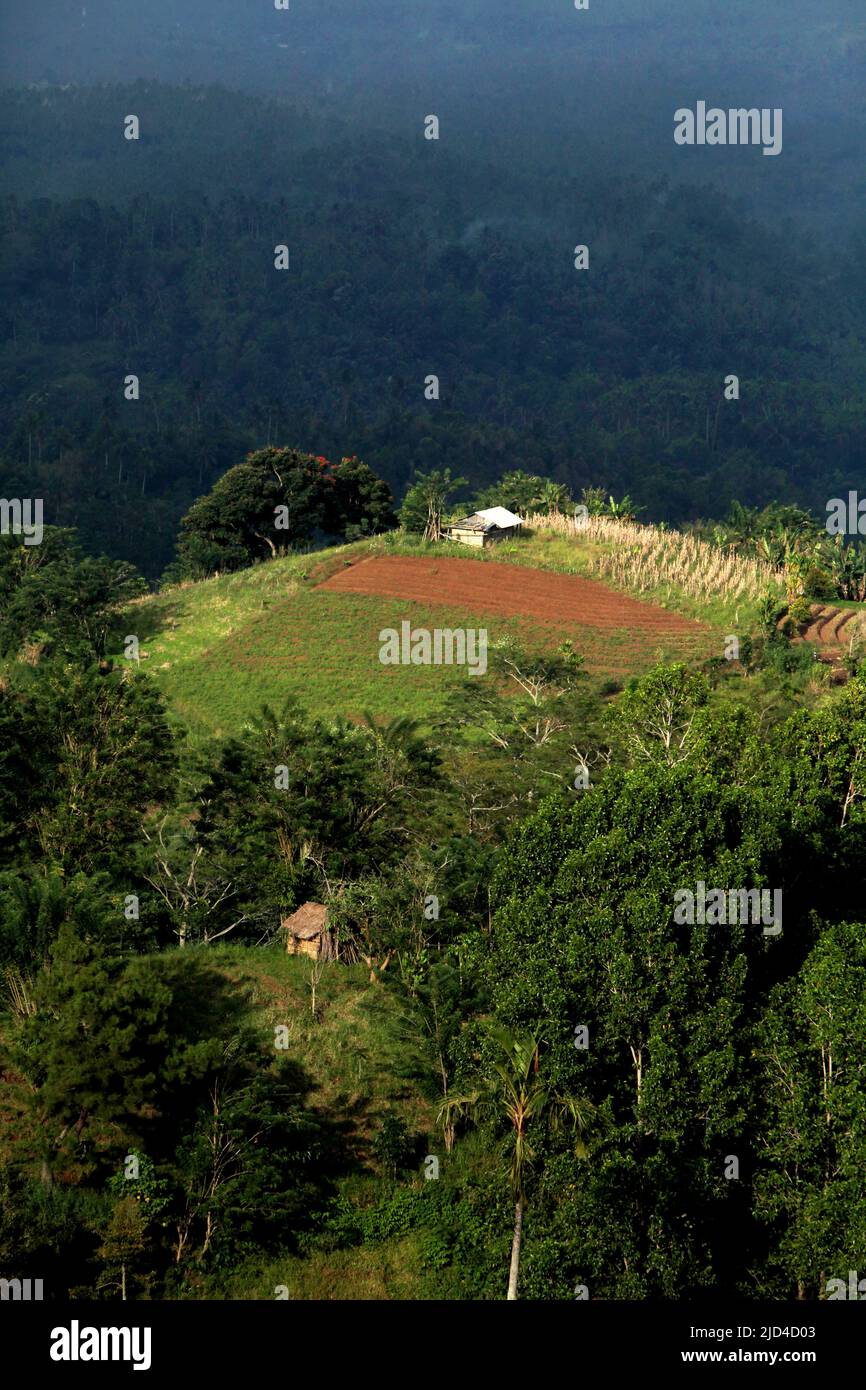 An agricultural farmland on top of a hill in Minahasa, North Sulawesi, Indonesia. Stock Photo
