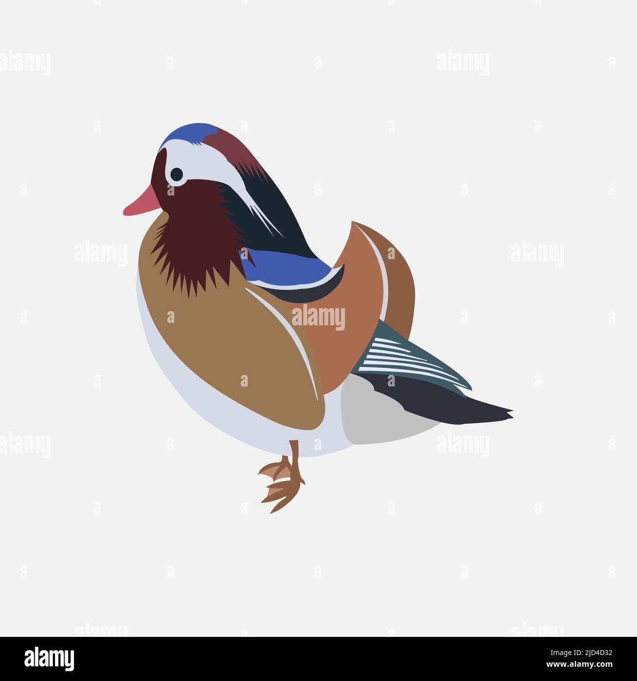 mandarin duck color vector image Stock Vector