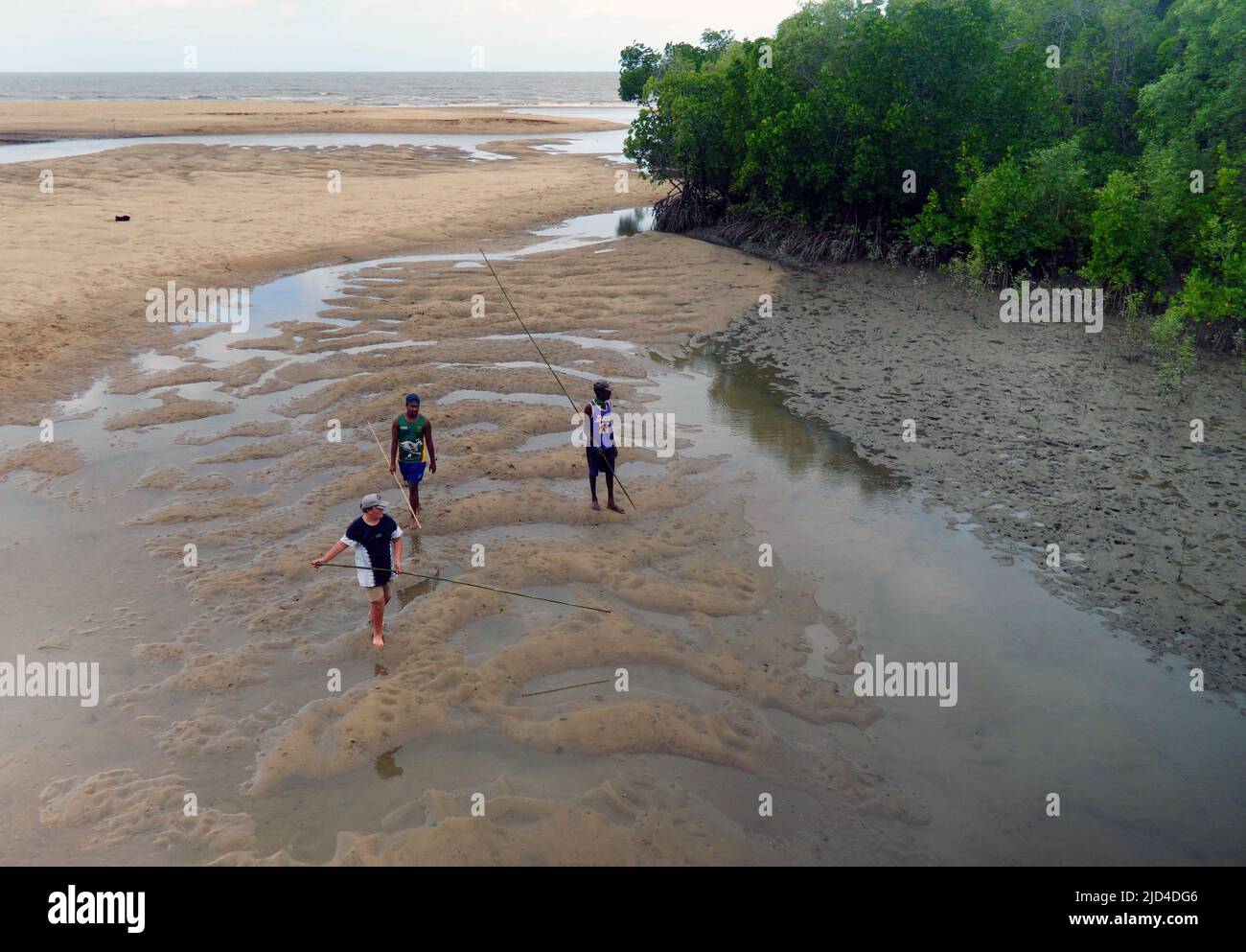 Indigenous youth foraging on sand flats and among mangroves at low tide, Barrs Creek, Cairns, Queensland, Australia. No MR Stock Photo