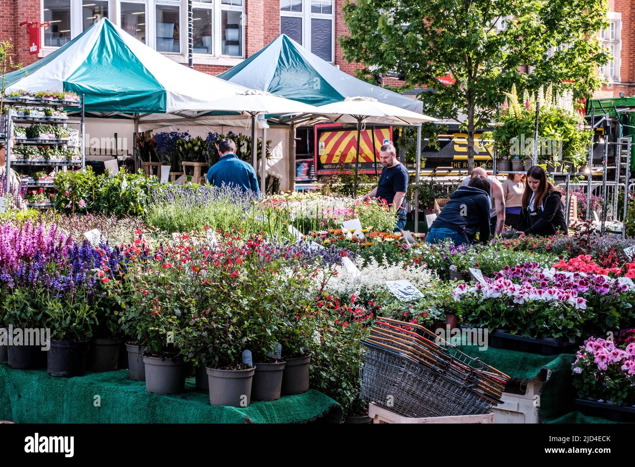 Epsom Surrey, London, June 11 2022, Market Trader Selling Plants And