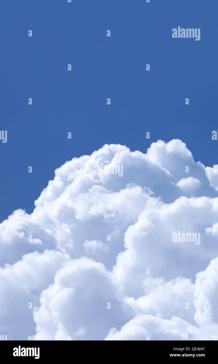 Stunning Fluffy White Cumulus Clouds on Vibrant Blue Sunny Sky Stock ...