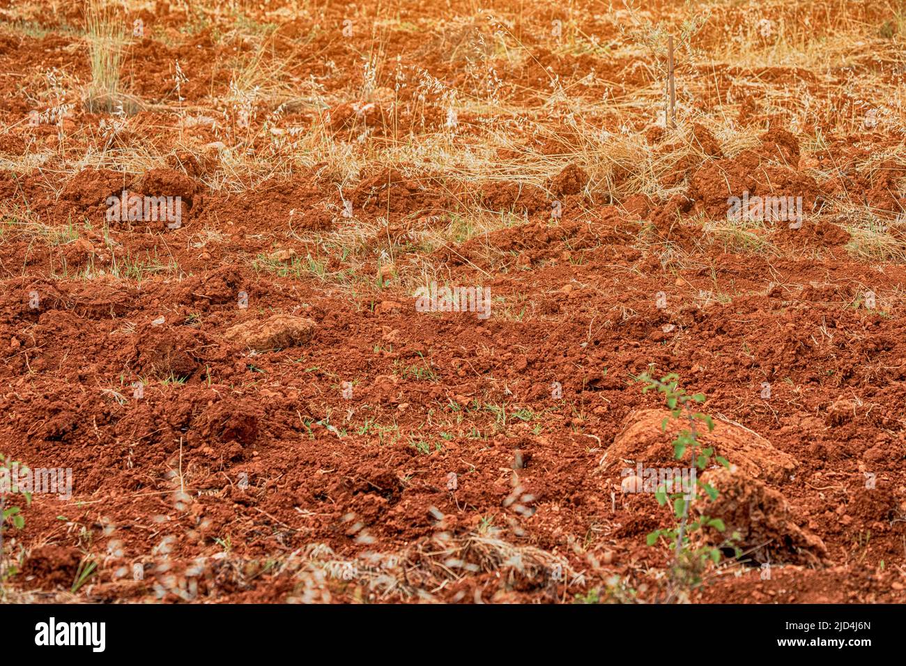 Red clay soils or Ultisol plowed field for planting and cultivating crops in tropical country. Agriculture in extreme climatic conditions Stock Photo