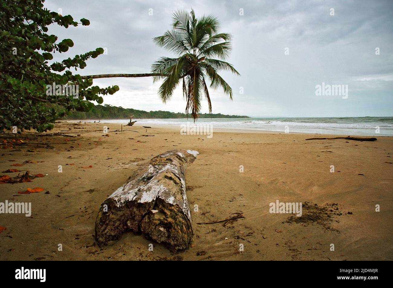 Beach in Manzanillo, Limón, Costa Rica Stock Photo