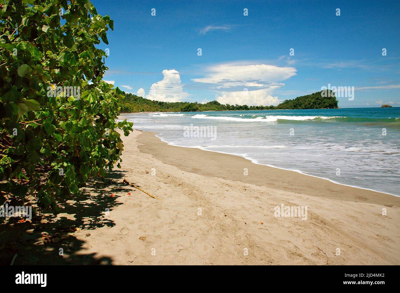 Long beach, Manuel Antonio National Park, Quepos, Costa Rica Stock Photo