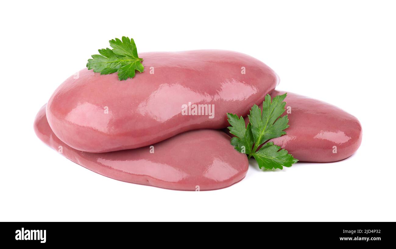 Pork kidney isolated on white background. Closeup. Raw pig kidney Stock