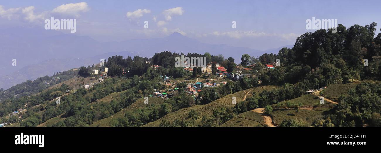 scenic landscape of singamari tea garden and mountain village, offbeat place of darjeeling on himalayan foothills, darjeeling in west bengal in india Stock Photo