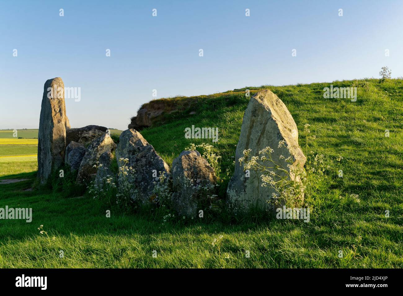 West Kennett Long Barrow, Avebury, Wiltshire, UK. Sarsen Stones at east end Stock Photo