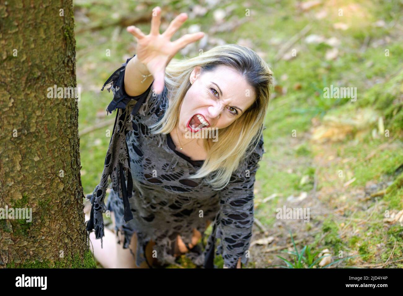 Snarling angry woman clawing at the camera in a forest reaching up with her hand as she crouches on the mossy ground Stock Photo