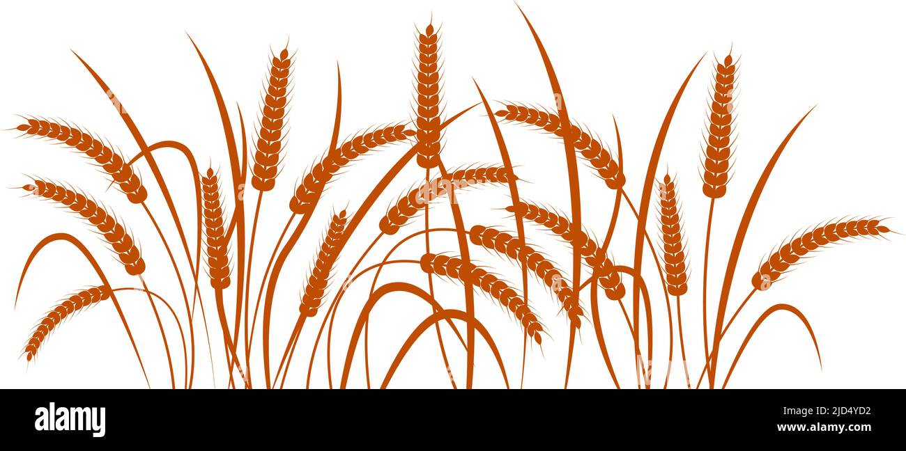Ears of wheat on a transparent background. Horizontal pattern. Single color vector illustration Stock Vector