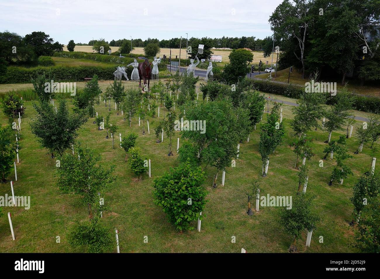 Mill Pond Meadow Woodland Memorial in Featherstone,West Yorkshire,UK Stock Photo Alamy