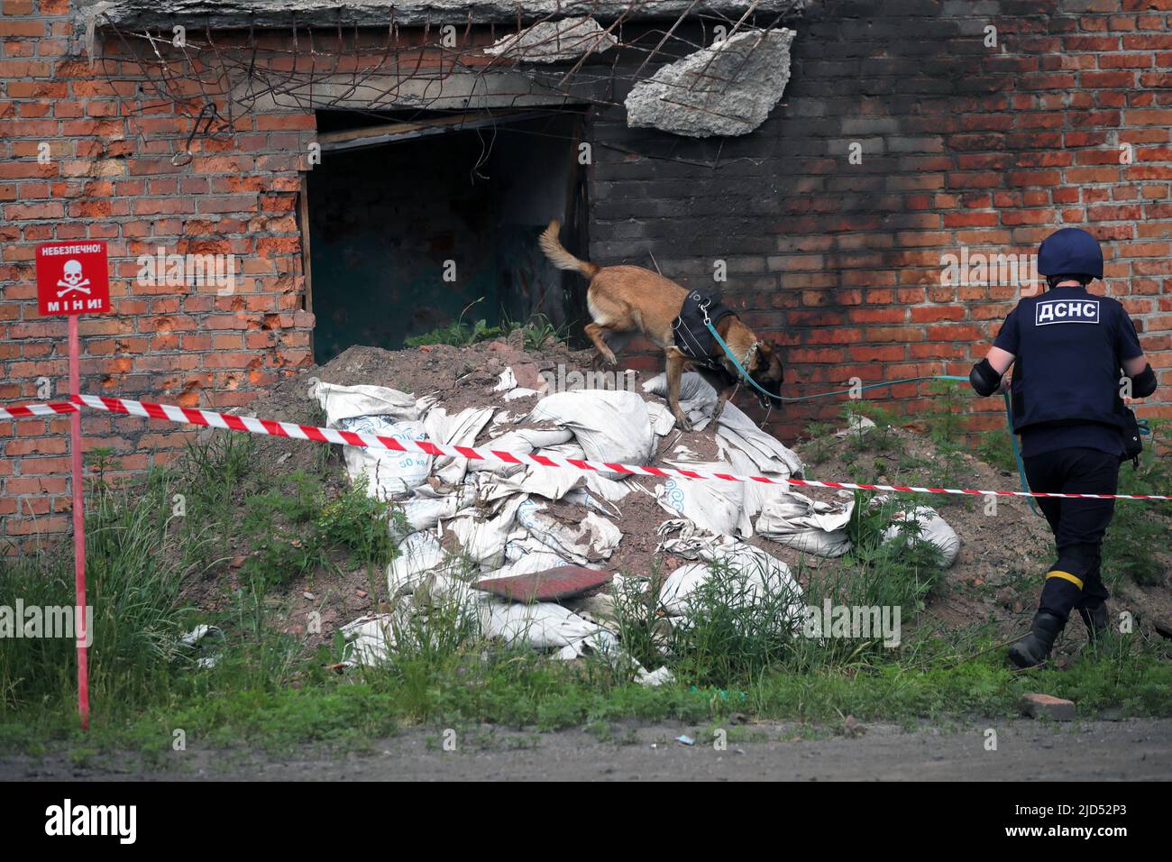 TROSTIANETS, UKRAINE - JUNE 17, 2022 - A rescuer and an explosive detection dog examine the premises of a brick plant where lots of ammunition and oth Stock Photo