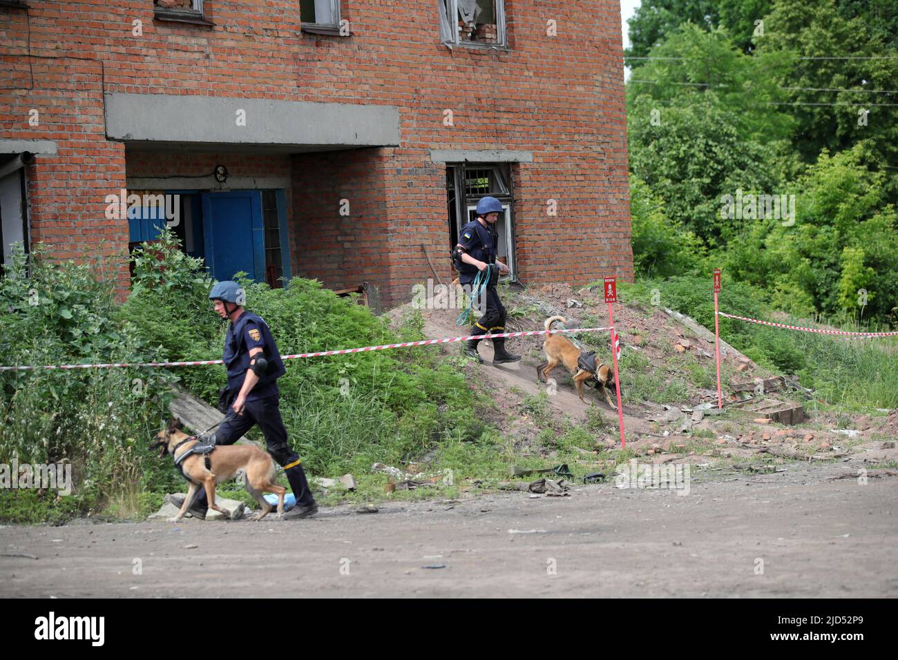 TROSTIANETS, UKRAINE - JUNE 17, 2022 - Rescuers and explosive detection dogs examine the premises of a brick plant where lots of ammunition and other Stock Photo