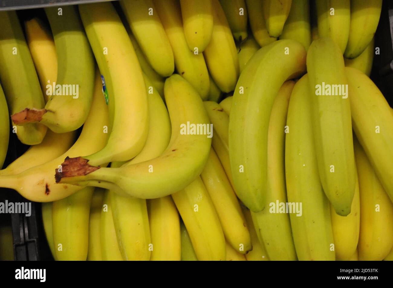 Copenhagen /Denmark/18 June 2022 / Bananas fruit display for sale in dansh capital Copenhagen. (Photo..Francis Joseph Dean/Deanpictures). Stock Photo