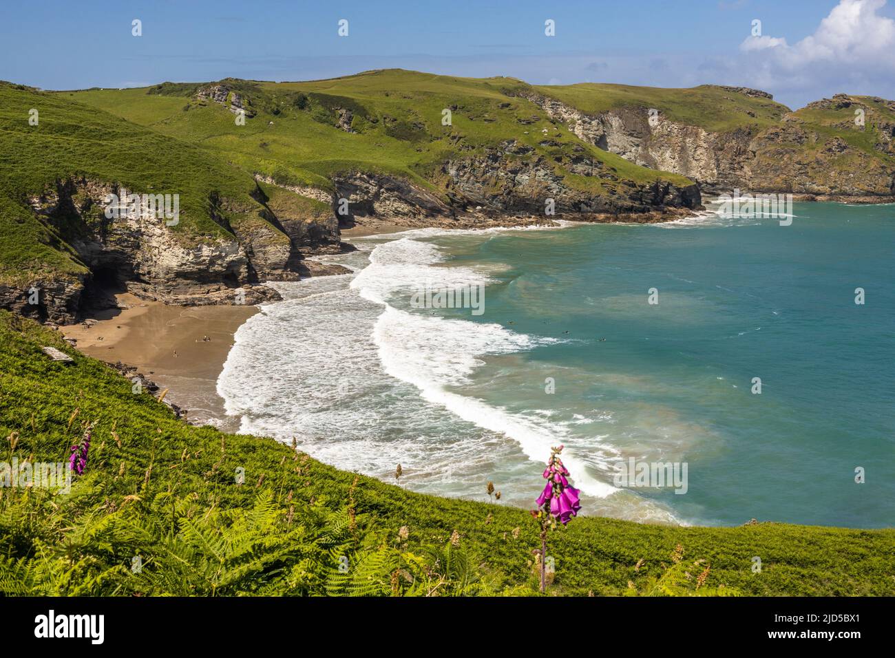 Bossiney cove hires stock photography and images Alamy