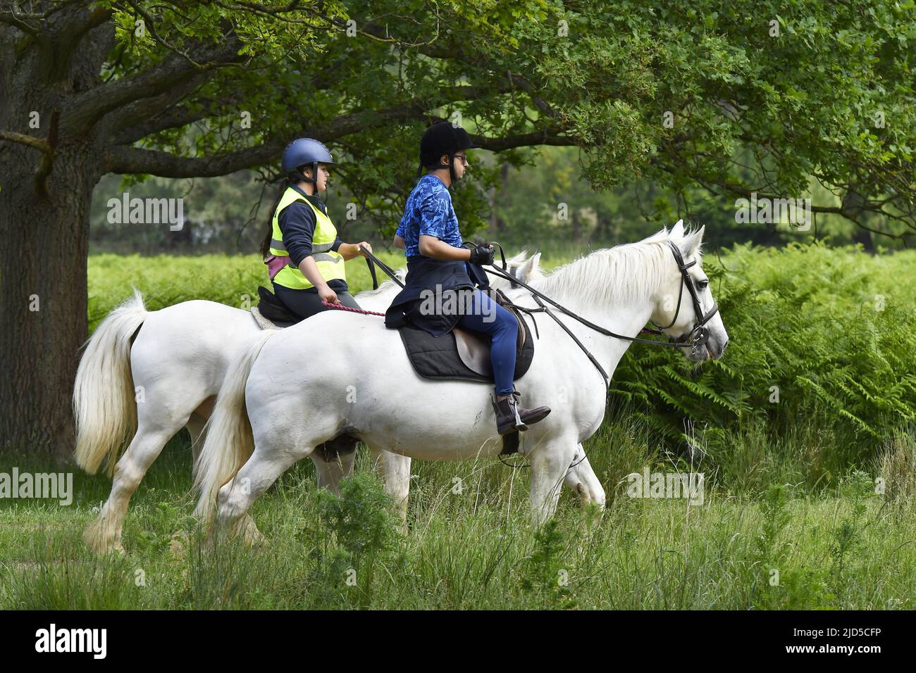 Riders on horses in Richmond Park Surrey England UK. Stock Photo