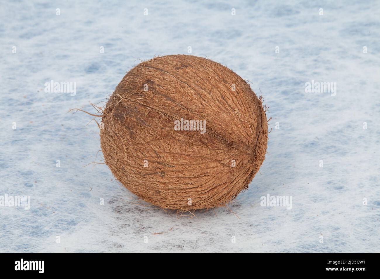 Coconut tropical fruit (Cocos nucifera Stock Photo - Alamy