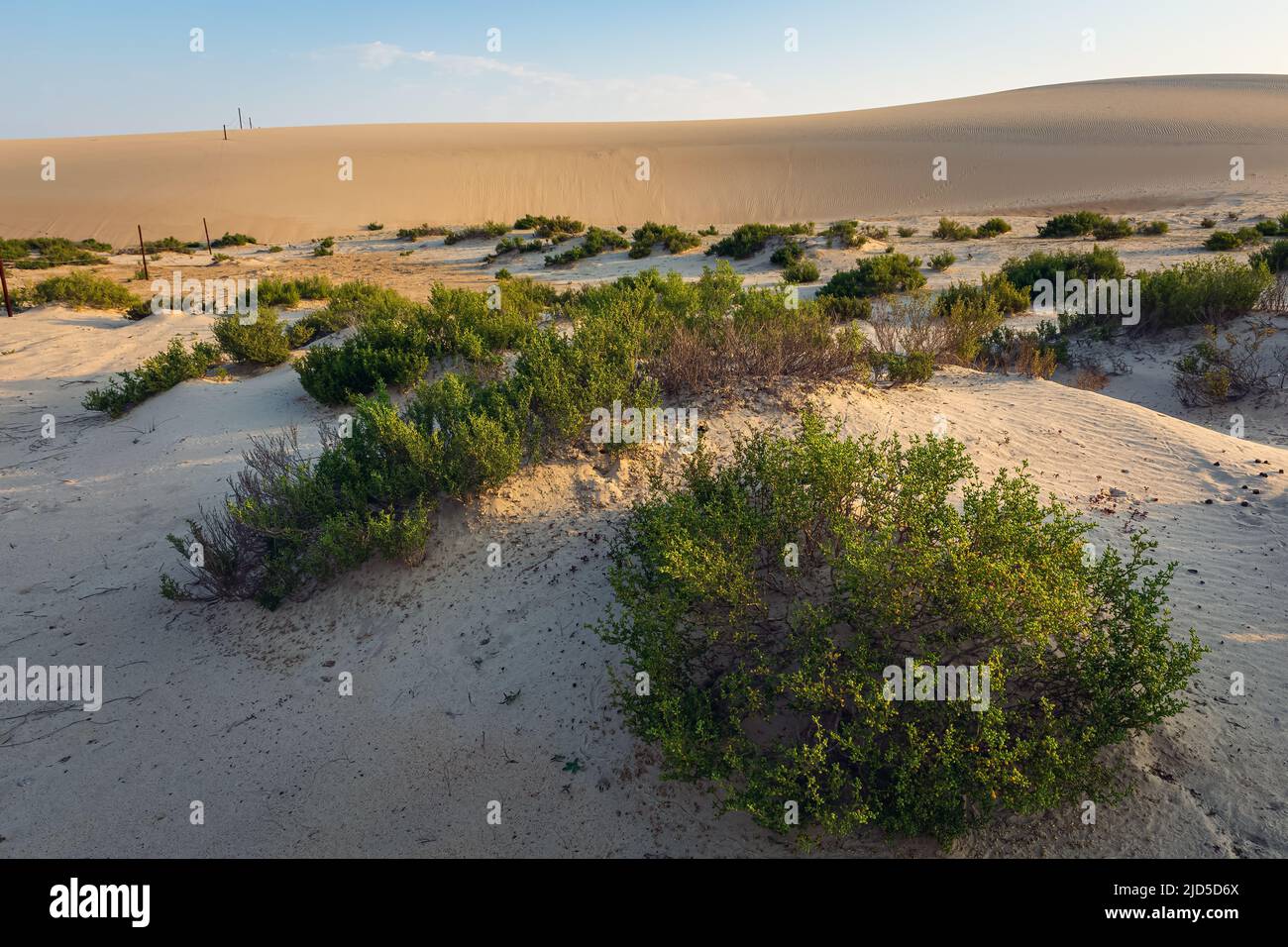 Beautiful Desert landscape view in Dammam Saudi Arabia Stock Photo