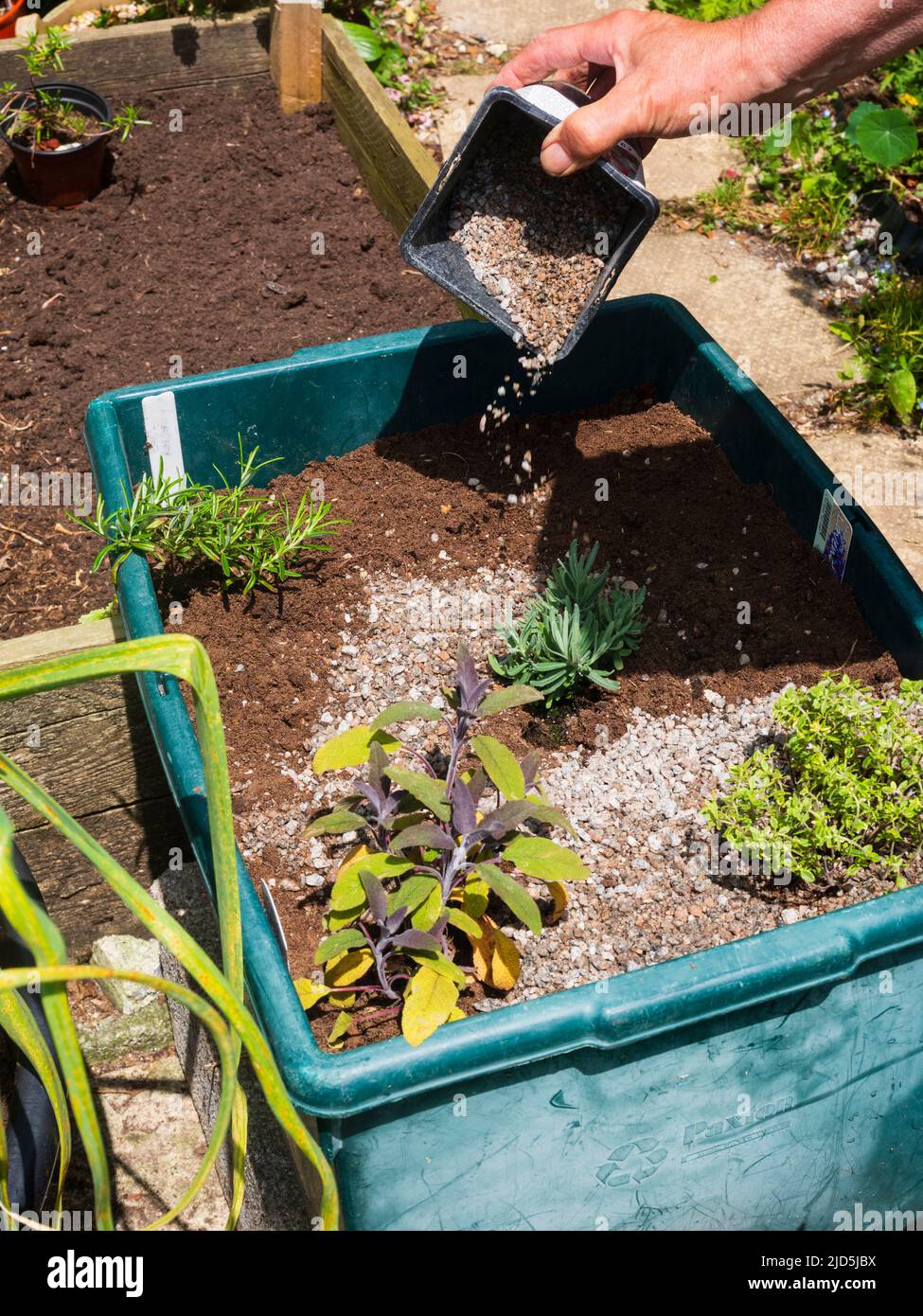 Herb container grit hires stock photography and images Alamy