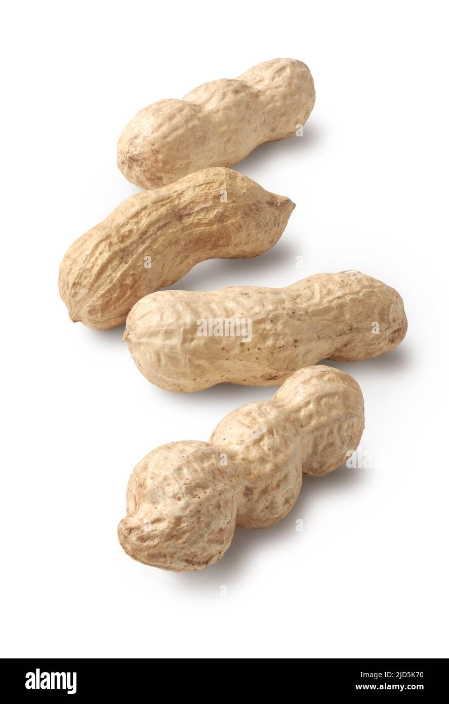 Group of unshelled peanuts, arranged in line, perspective view, isolated on white background Stock Photo
