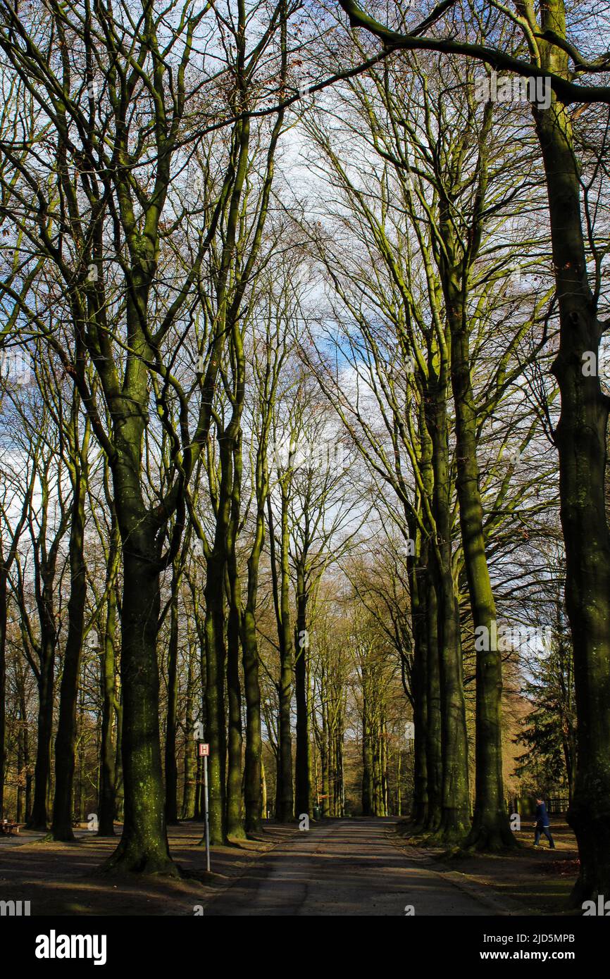 Parc bruxellois hi-res stock photography and images - Alamy