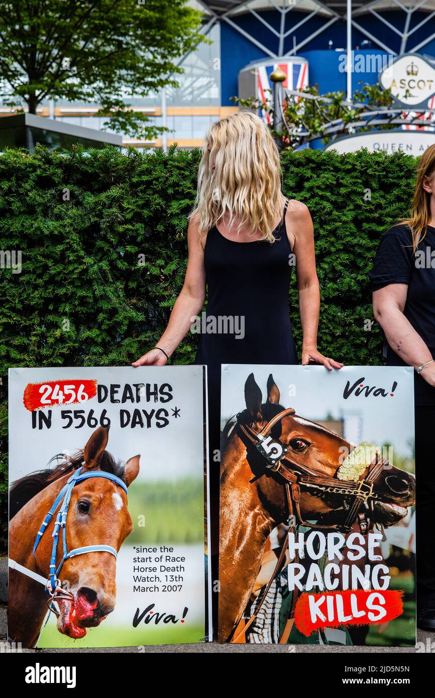 Race horse death watch hires stock photography and images Alamy