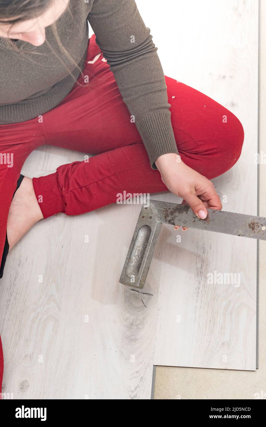 Installation of quartz vinyl floor, female master installs the floor