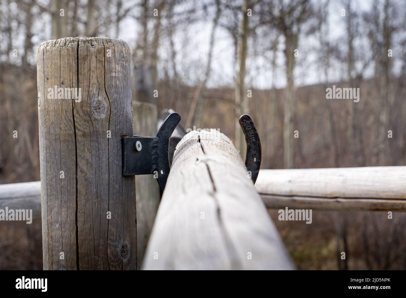 A wooden post and rail fence held together with horse shoes at Glenbow Ranch Provincial Park Canada. Stock Photo