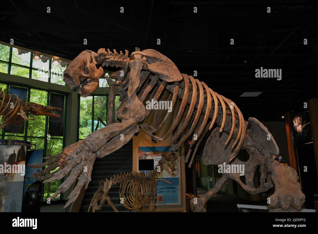 Prehistoric Sloth Stock Photo