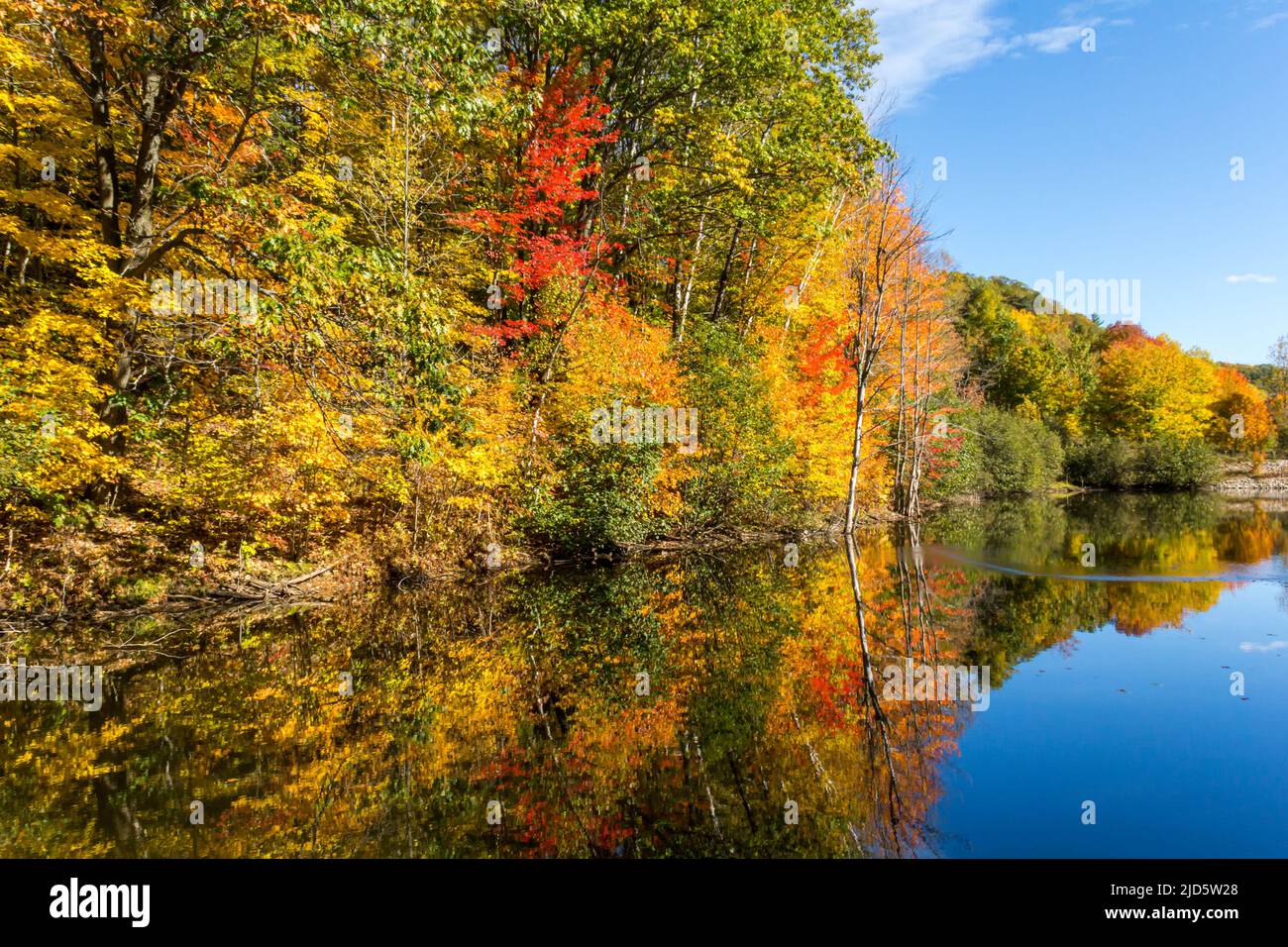 Canada maple autumn landscape hi-res stock photography and images - Alamy