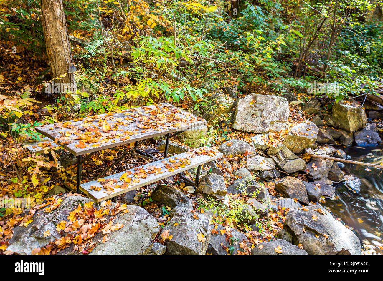 Old picnic table abandoned in the woods near a river. Autumn landscape. Stock Photo
