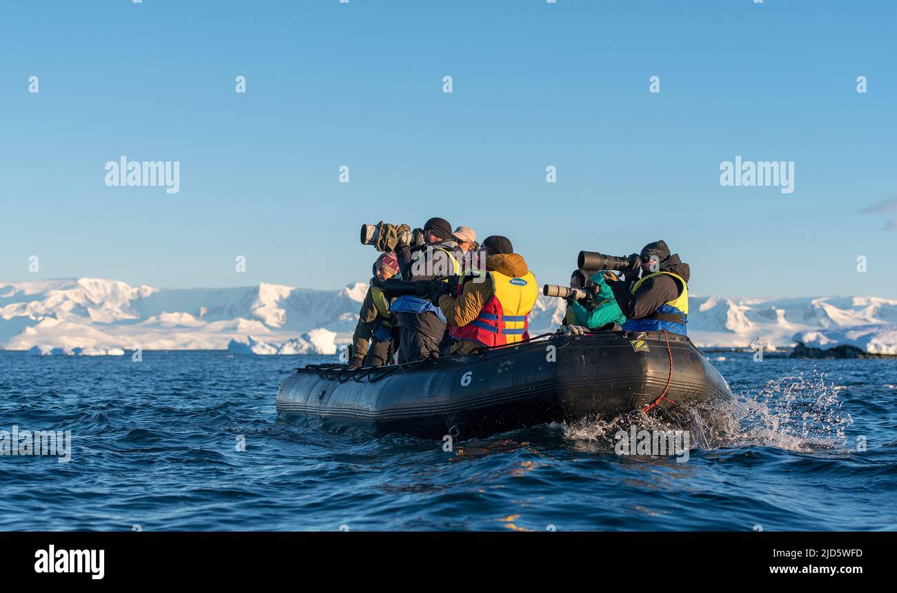 Nature photographers with long lenses at Hydruga Rocks, the palmer