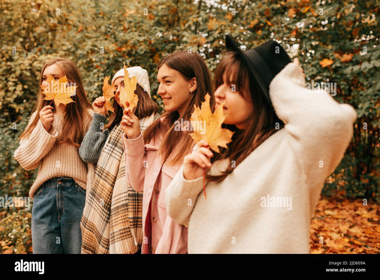 Four girlfriends of student are having fun on walk in autumn park holding bright yellow maple leaves in their hands. Leaf fall. Positive emotions Stock Photo