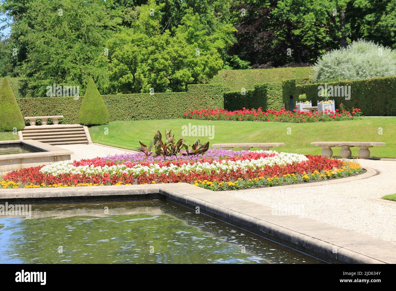 Arcen netherlands rose hires stock photography and images Alamy