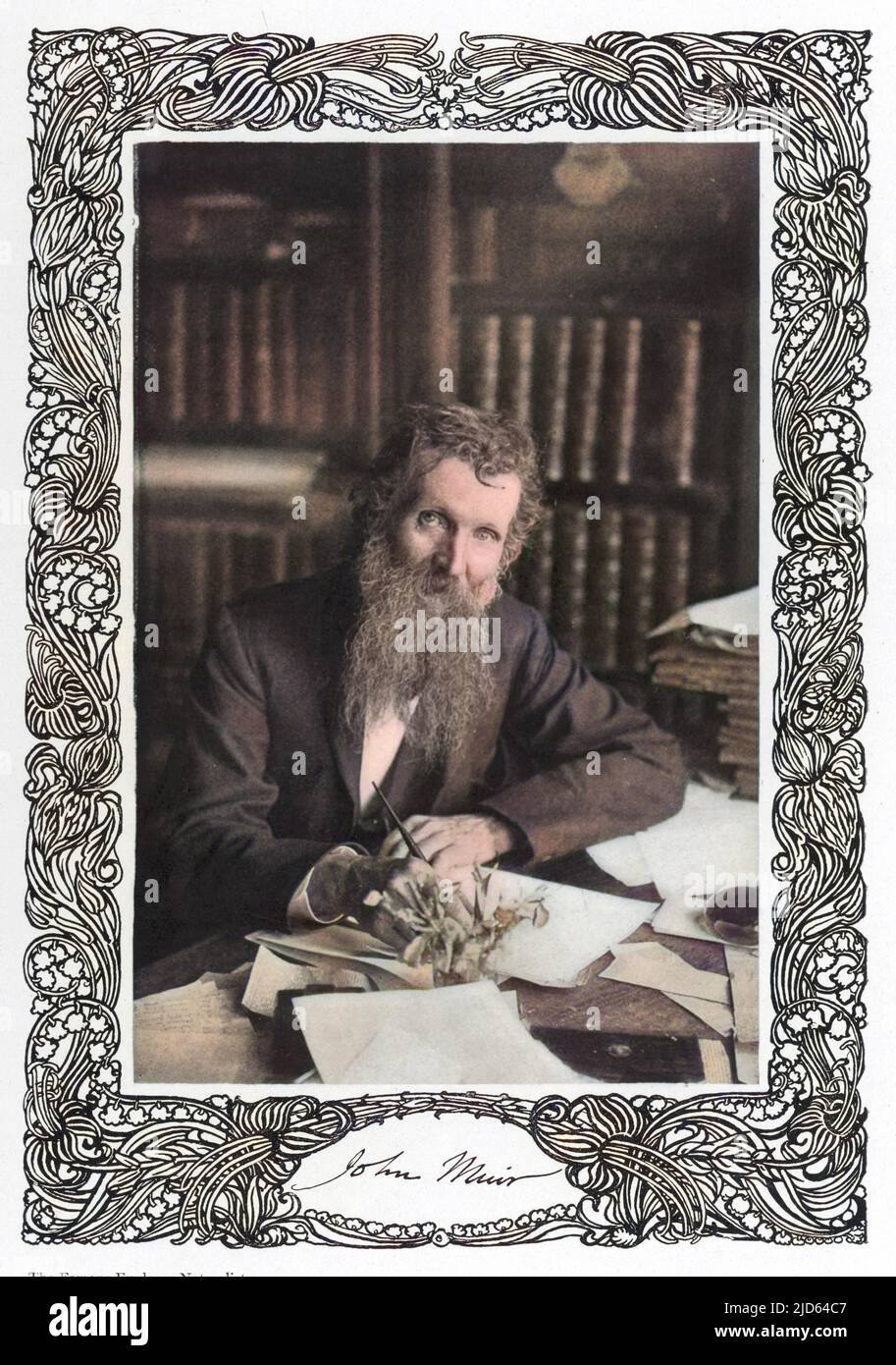 John Muir (1838 - 1914), Scottish-American naturalist. Colourised version of : 10001060       Date: 1903 Stock Photo