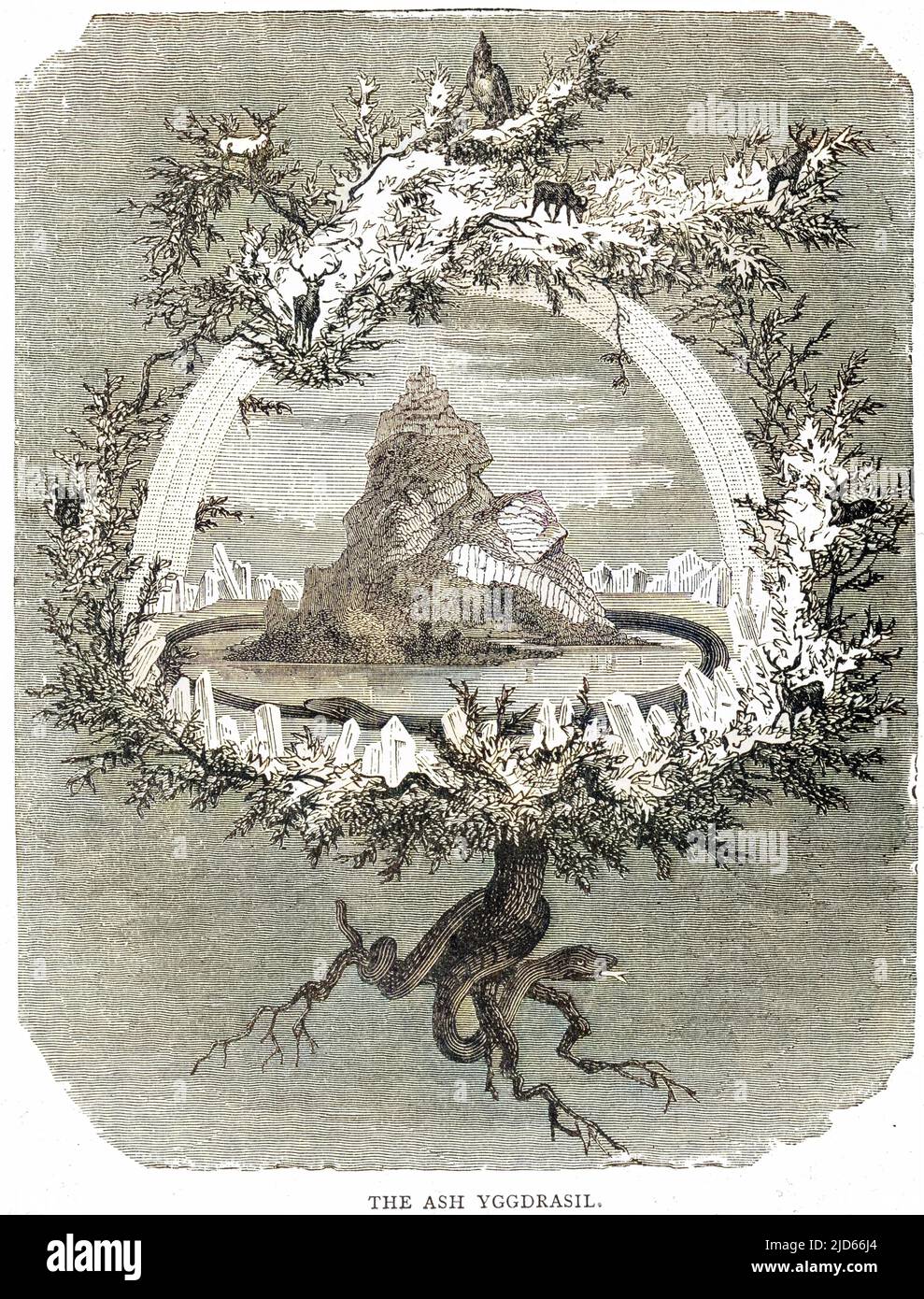 Yggdrasil (Yggdrasill), the sacred ash, the Tree of Life, the Mundane Tree of Norse mythology, whose branches overhang the Universe. Colourised version of : 10007712       Date: 1886 Stock Photo