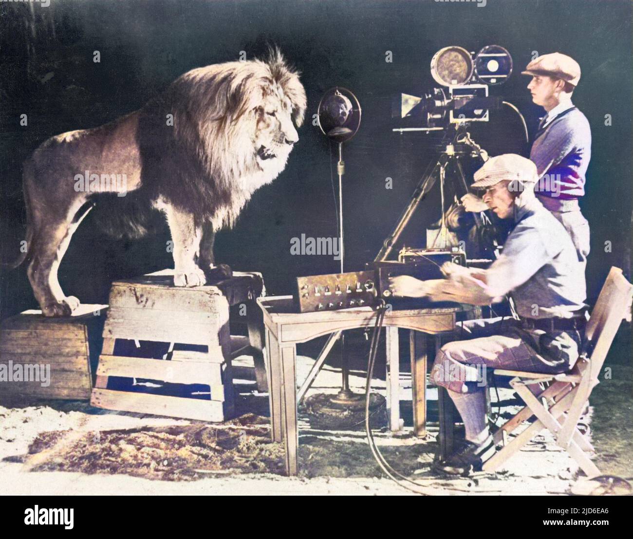 Recording Leo the Lion's famous roar for MGM (Metro Goldwyn Mayer ...