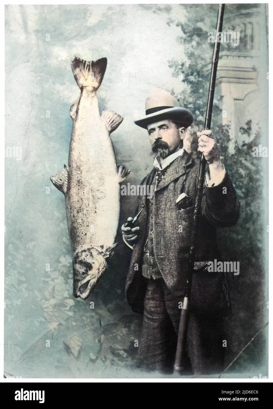 Whopper fish Cut Out Stock Images & Pictures - Alamy