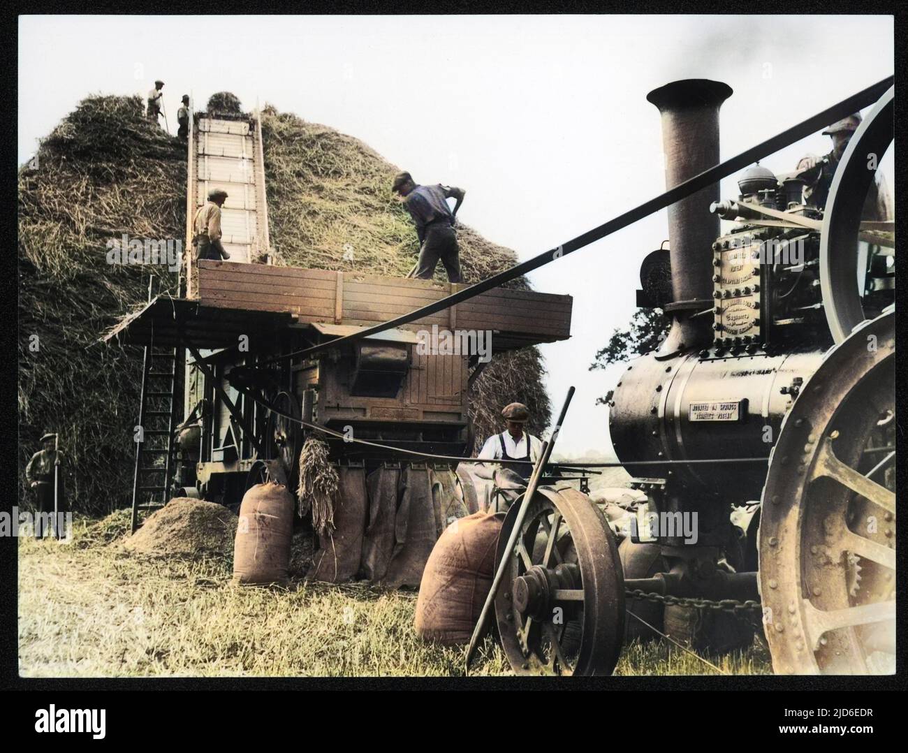 Men threshing wheat at a farm near Henley-on-Thames, Oxfordshire, England, using a Surrell's patent compound steam traction engine (mounted on springs). Colourised version of : 10140712       Date: 1930s Stock Photo