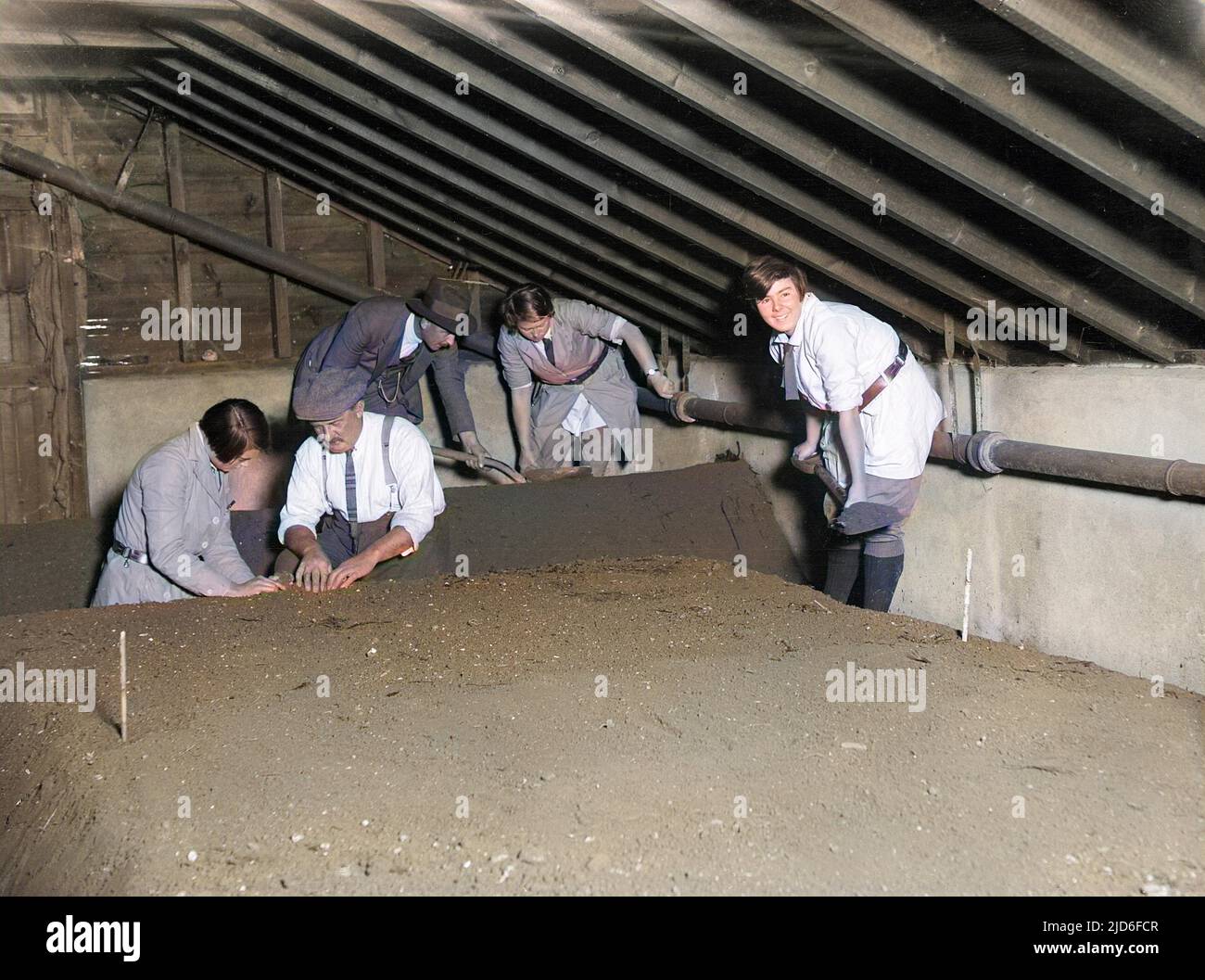 Students learning how to grow mushrooms at Swanley Agricultural College, Kent, England. Colourised version of : 10164555       Date: early 1930s Stock Photo